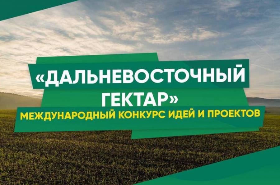 На развитие гектара тебе готовы дать 100 тысяч рублей