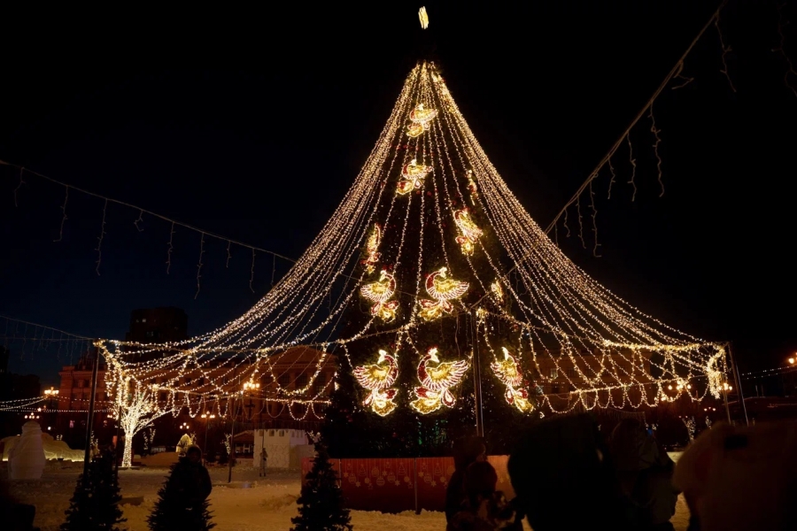 Торжественное открытие новогодней площади состоялось в Хабаровске
